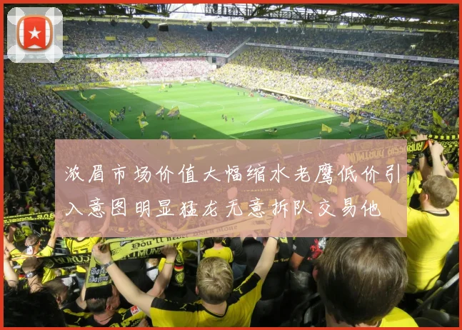 浓眉市场价值大幅缩水老鹰低价引入意图明显猛龙无意拆队交易他
