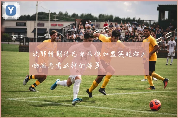 波耶特期待巴尔韦德加盟英超称利物浦急需这样的球员